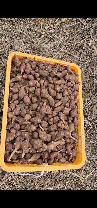 김우진님의 작성글 사진