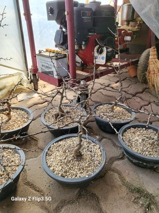 두메농원님의 작성글 사진