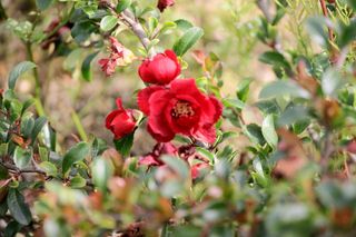 두메농원님의 작성글 사진