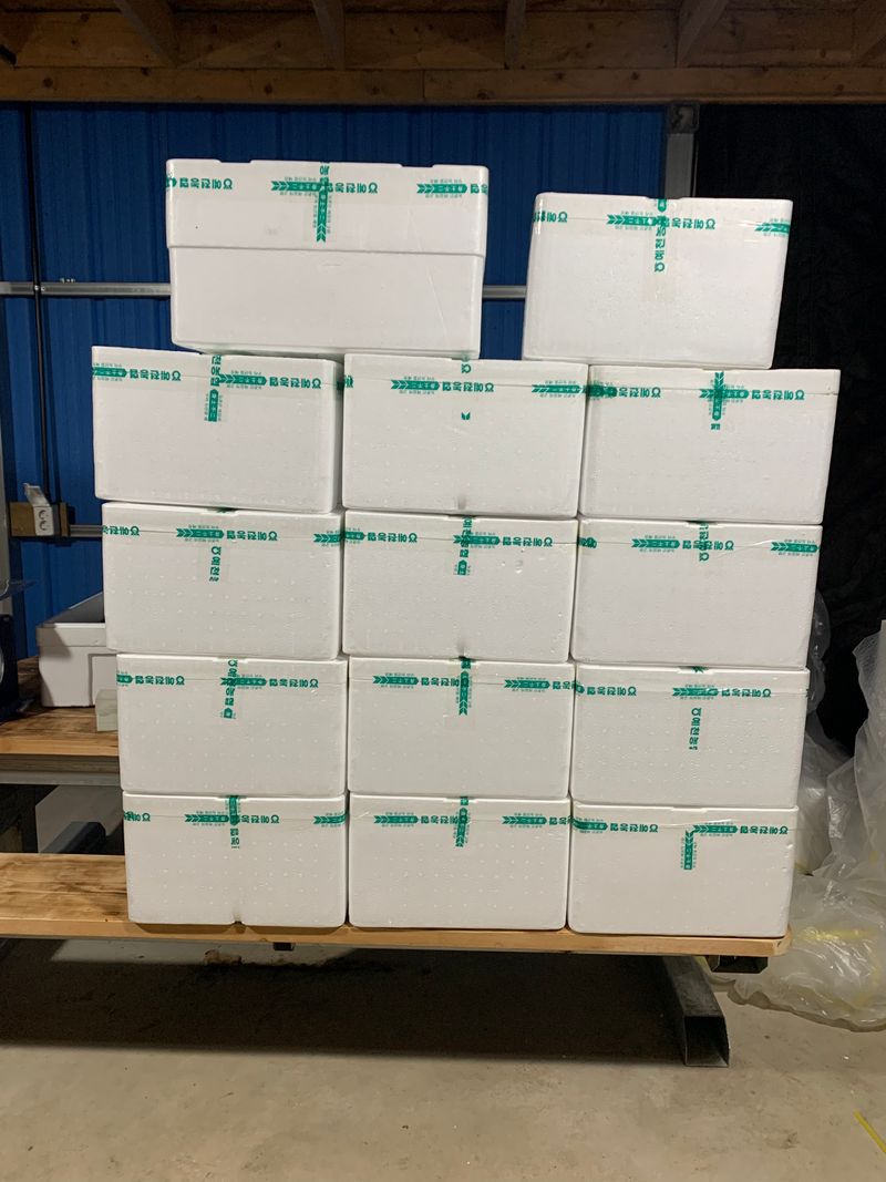 오대경님의 장터 판매 상품 [유럽샐러드상추] 첨부 사진