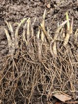 팜모닝 · 게시글 이미지