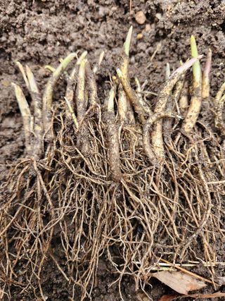 귀산촌님의 작성글 사진