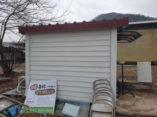 상주백수농원 님의 작성글 사진