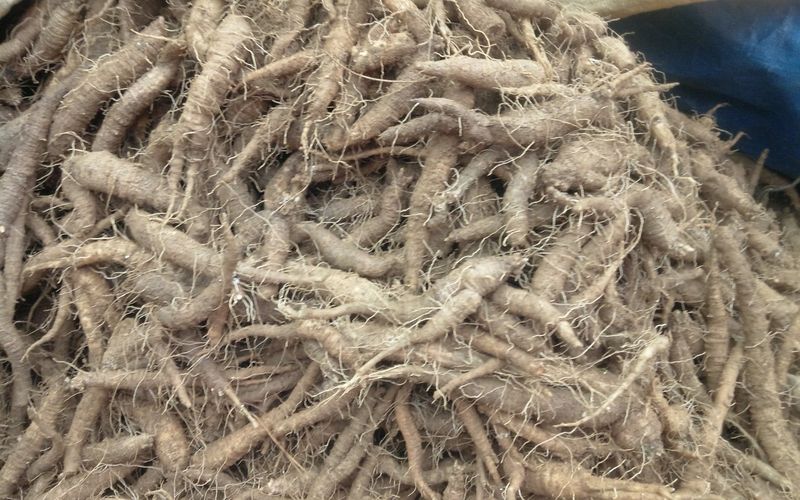 윤미선(농경채인증님의 장터 판매 상품 [더덕 4키로] 첨부 사진