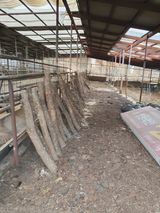 팜모닝 · 게시글 이미지