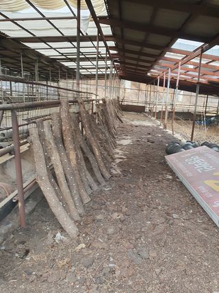 상주백수농원 님의 작성글 사진