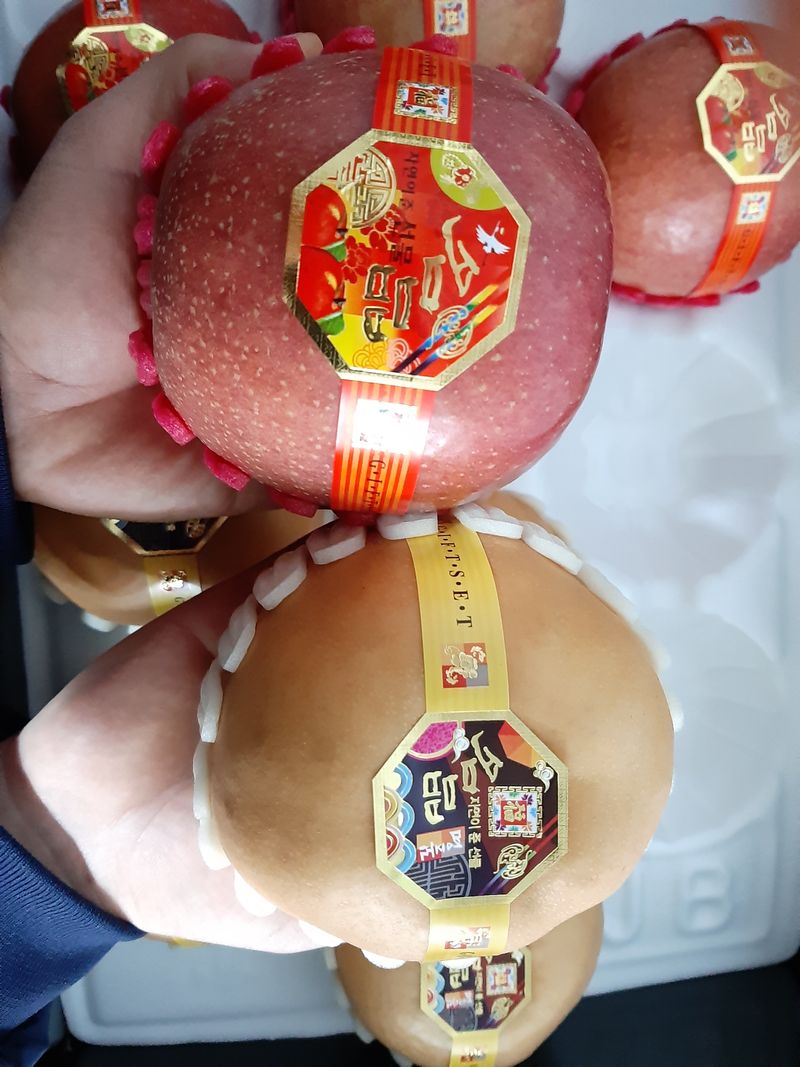 장터 상품 [[판매중단] 혼합 과일 선물셋트 (부사사과 5+배5) ㅡ무료배송 ] 썸네일