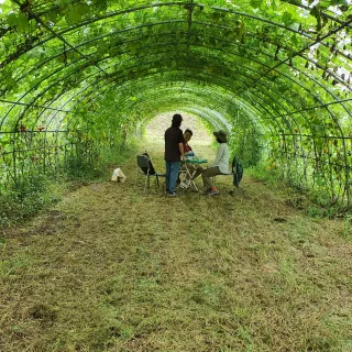 상주잡초농부 님의 기타작물 · 자유게시판 작성글 사진