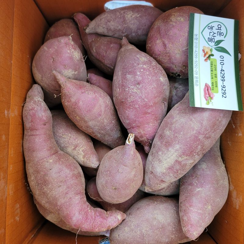 윤희순님의 장터 판매 상품 [여주 꿀고구마  10키로] 첨부 사진