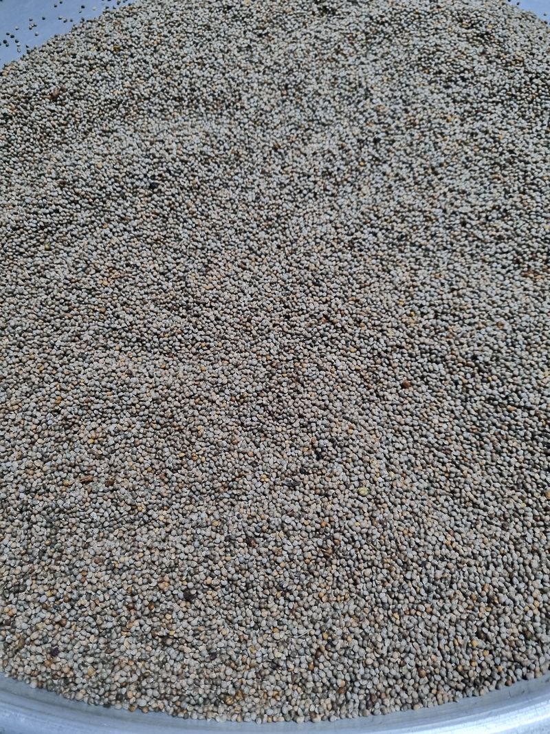 장터 상품 [농사지은 들깨  택배포함  판매완료] 썸네일