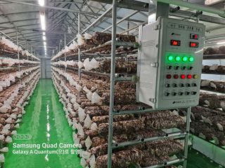 이학봉님의 버섯 · 일상 작성글 사진