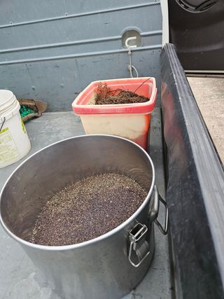 정진필님의 두릅 · 품종•종자 작성글 사진