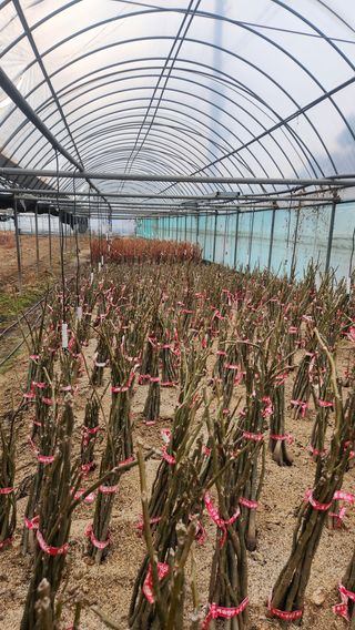 도기백님의 작성글 사진