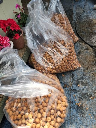 도기백님의 작성글 사진