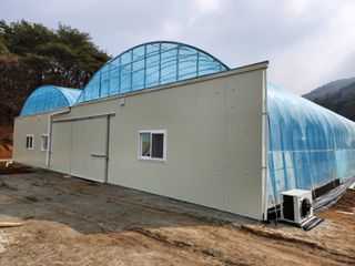 농업회사법인 진향님의 하우스정보 · 자유게시판 작성글 사진