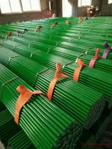 팜모닝 하우스정보·자유게시판 게시글 이미지