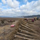팜모닝 기타작물·자유게시판 게시글 이미지
