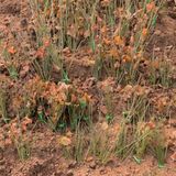 팜모닝 · 게시글 이미지