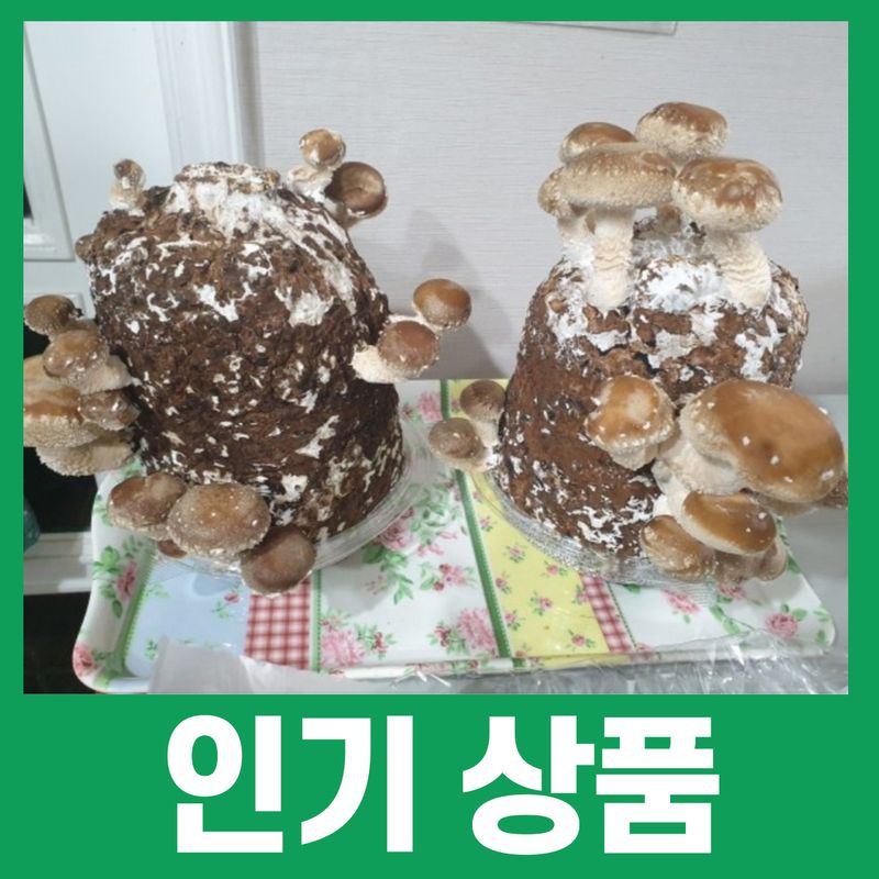 장터 상품 [[5차마감] * 친환경&GAP인증 * 국가인증 종자관리사가 직접만든 표고버섯키트 (수요일배송)] 썸네일