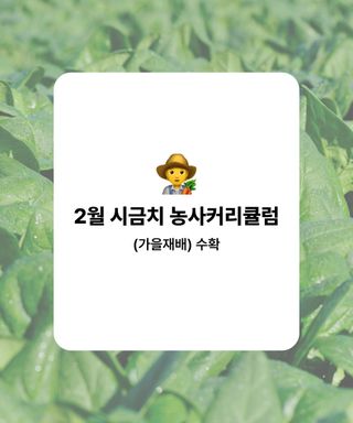 시금치 농사도우미님의 시금치 · 수확 작성글 사진