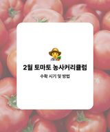 팜모닝 토마토·수확 게시글 이미지