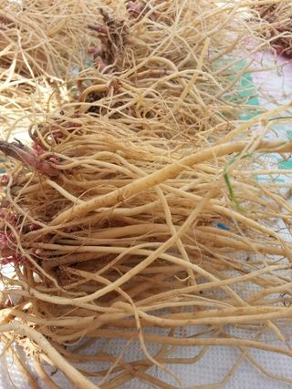 김승태님의 작성글 사진