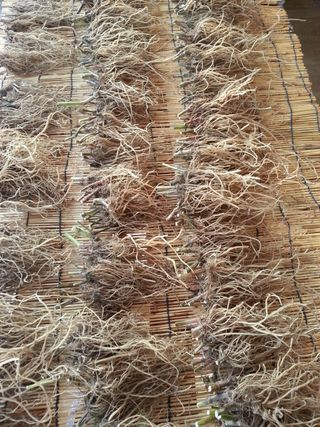 김승태님의 작성글 사진