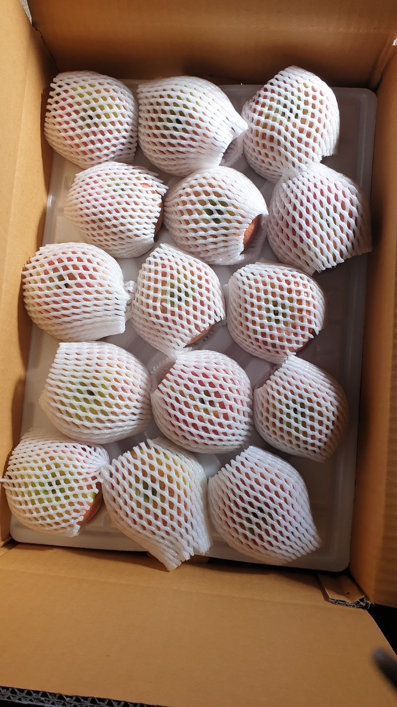 호랑이와인성이님의 장터 판매 상품 [창고대방출 미안마부사10kg30~40] 첨부 사진