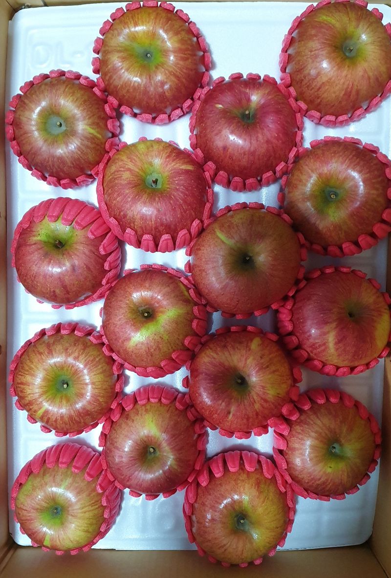 호랑이와인성이님의 장터 판매 상품 [창고대방출 미안마부사10kg30~40] 첨부 사진