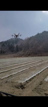 팜모닝 양파·자유게시판 게시글 이미지