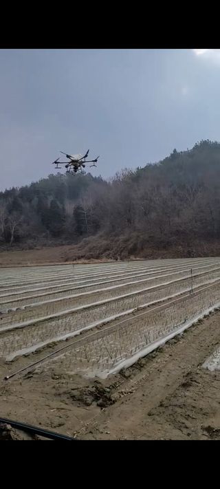 이재진님의 양파 · 자유게시판 작성글 사진