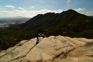 산 아래님의 마늘 · 일상 작성글 사진