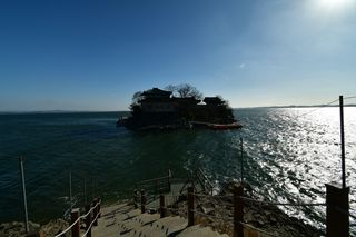 산 아래님의 마늘 · 일상 작성글 사진