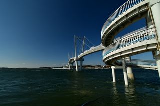 산 아래님의 마늘 · 일상 작성글 사진