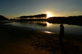 산 아래님의 마늘 · 일상 작성글 사진