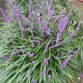 이은화님의 기타작물 · 자유게시판 작성글 사진