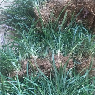 이은화님의 기타작물 · 자유게시판 작성글 사진