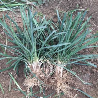 이은화님의 기타작물 · 자유게시판 작성글 사진