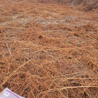 이경숙님의 기타작물 · 자유게시판 작성글 사진