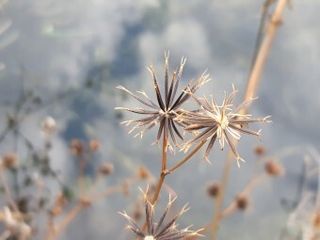 이경숙님의 기타작물 · 자유게시판 작성글 사진