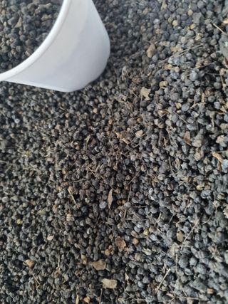 이호성님의 두릅 · 품종•종자 작성글 사진