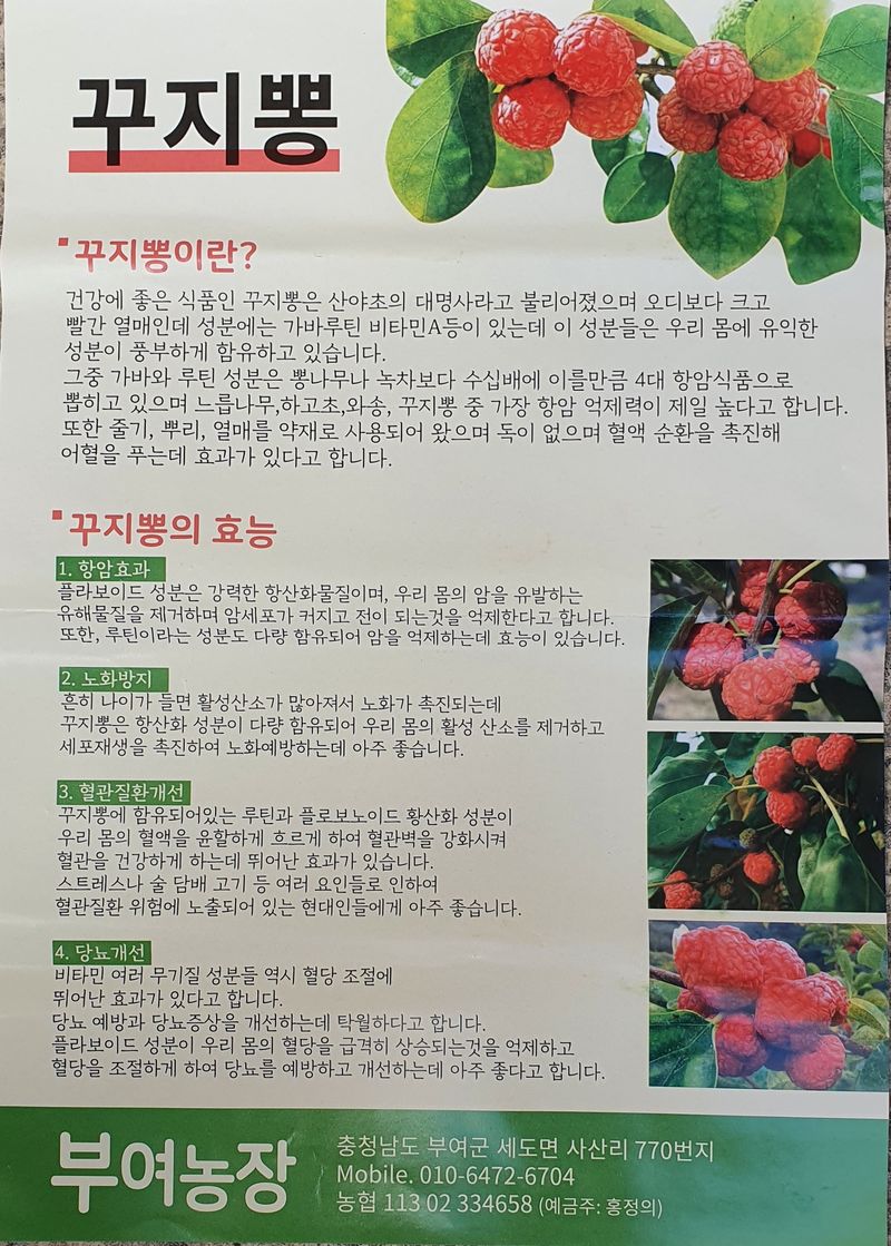 장터 상품 [꾸지뽕 열매 즙  60포] 썸네일