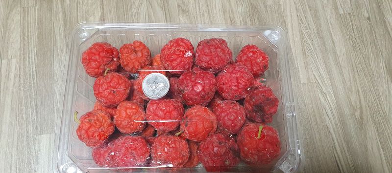 상추20193님의 장터 판매 상품 [꾸지뽕 열매 즙  60포] 첨부 사진