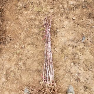 상호현님의 기타작물 · 자유게시판 작성글 사진