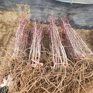 상호현님의 기타작물 · 자유게시판 작성글 사진