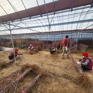 상호현님의 기타작물 · 자유게시판 작성글 사진