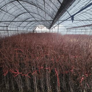 상호현님의 기타작물 · 자유게시판 작성글 사진