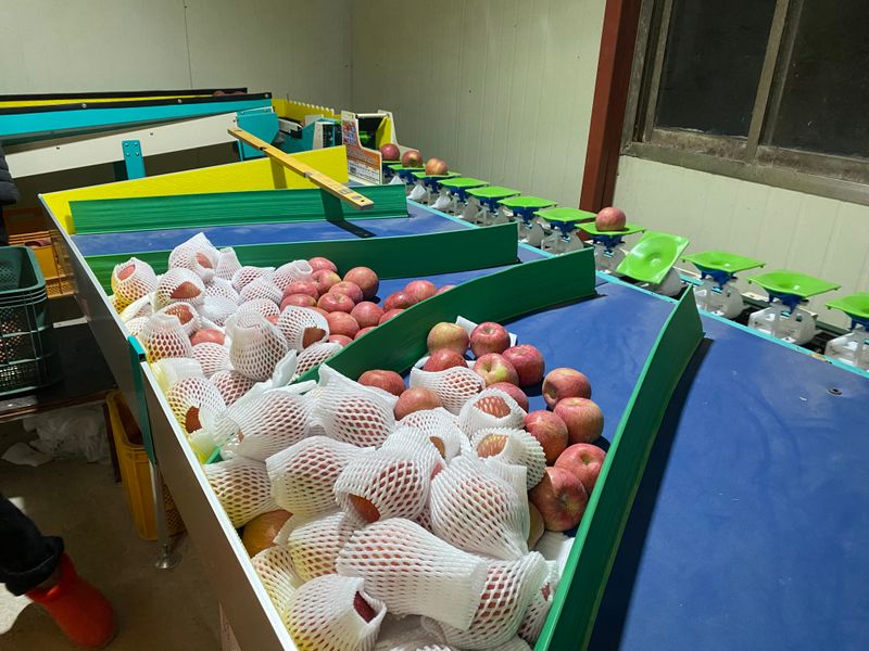 장터 상품 [청송 꿀사과 파격할인합니다] 썸네일