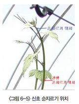 포도 농사도우미님의 포도·농사길잡이 작성글 사진