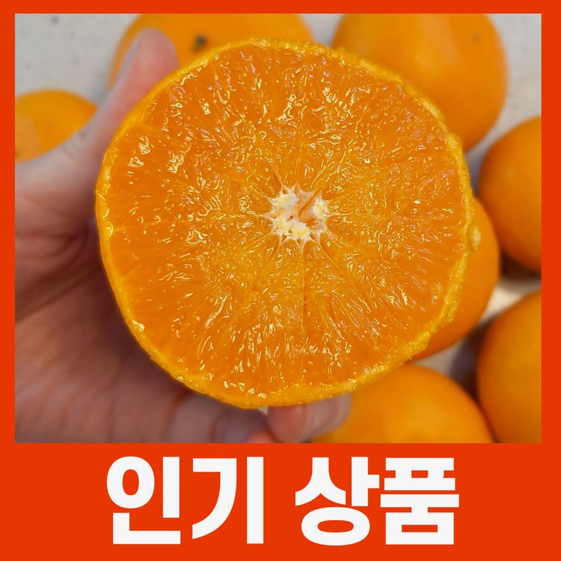 장터 상품 [천혜향 5kg] 썸네일